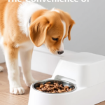 dog with automatic pet feeder